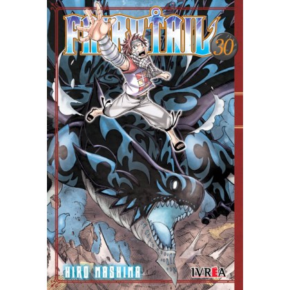 Fairy Tail 30